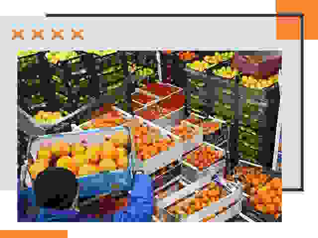 Перевозка скоропортящихся продуктов в Нерюнгри